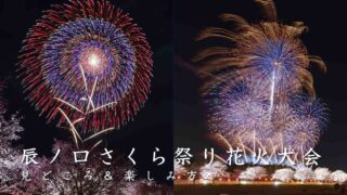 辰ノ口さくら祭り花火大会とは？見どころと楽しみ方を解説