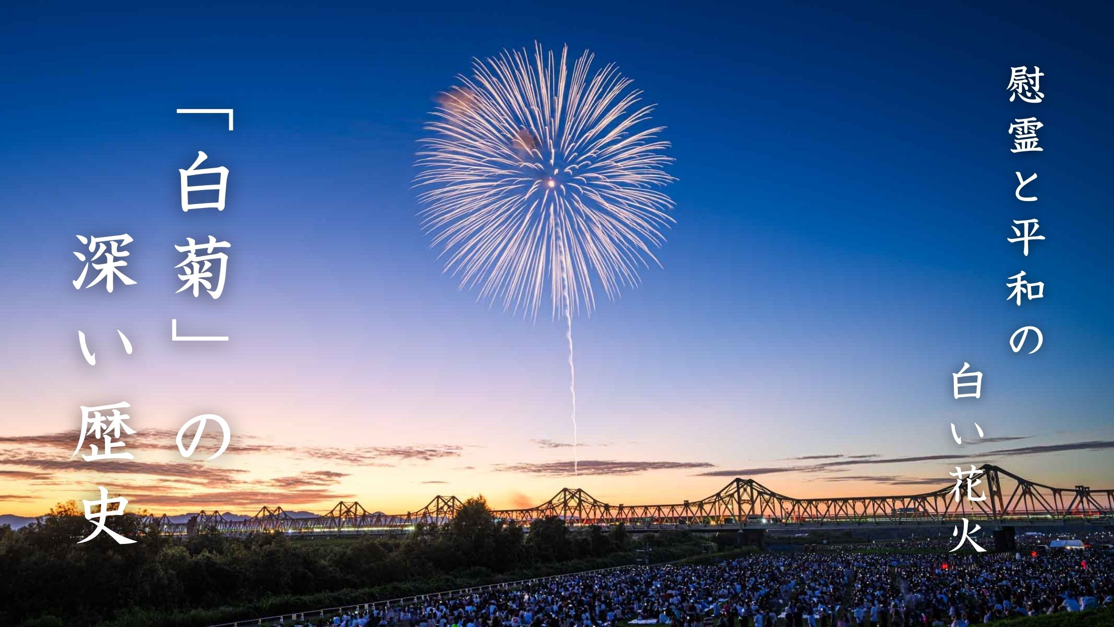 長岡まつり大花火大会で打ち上がる「白菊」の意外と知らない深い歴史