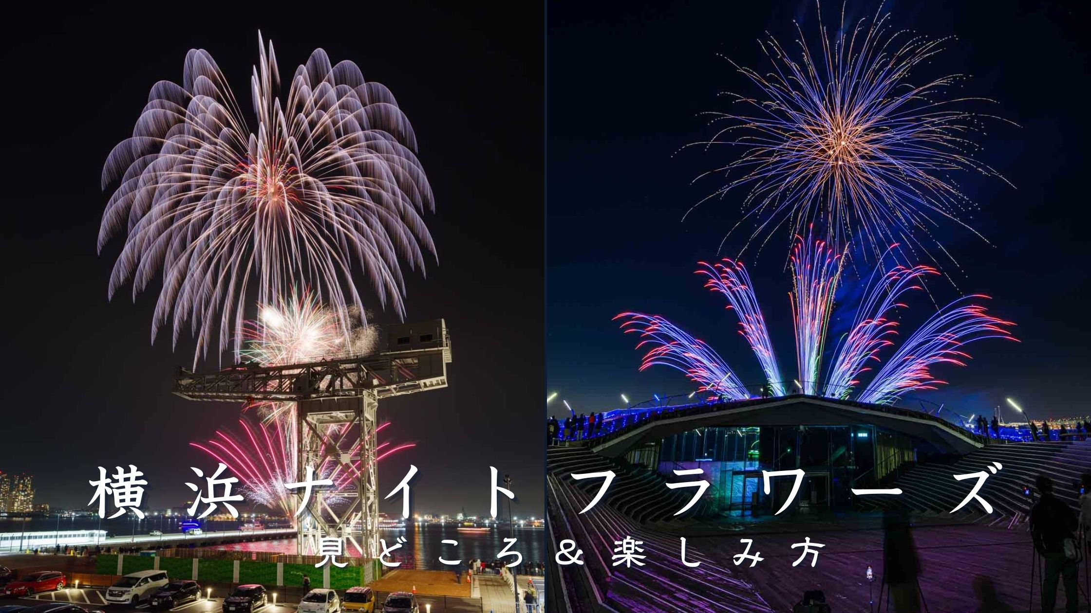 横浜ナイトフラワーズとは？見どころと楽しみ方を解説