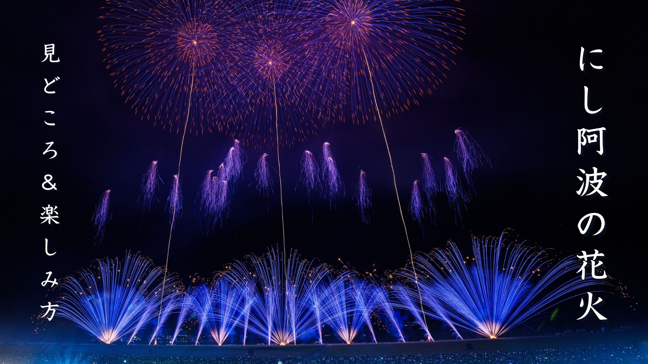 にし阿波の花火とは？見どころと楽しみ方を解説